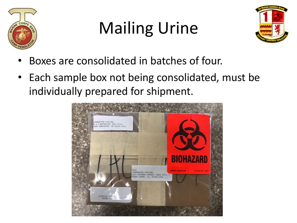 Updated Urinalysis Mailing - ppt download
