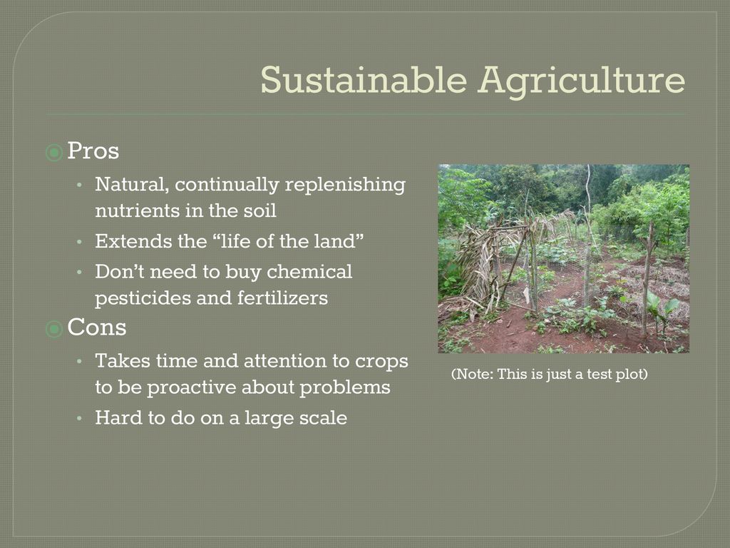 Traditional Agriculture - Ppt Download