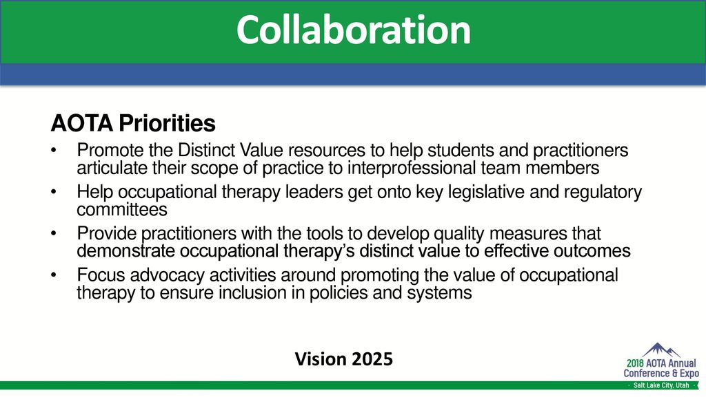 Aota Board Expands Vision 2025 Vision Leone Missie