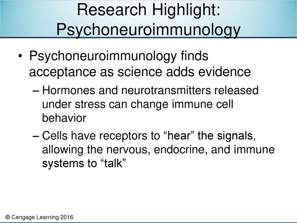 The Mind/Body Connection - ppt download