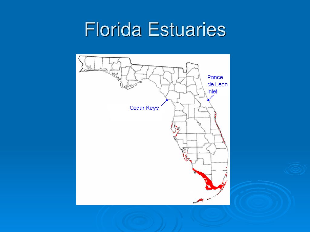 Florida Estuaries