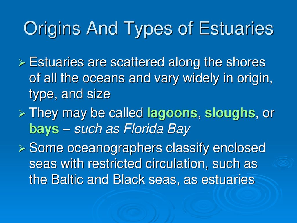 Origins And Types of Estuaries