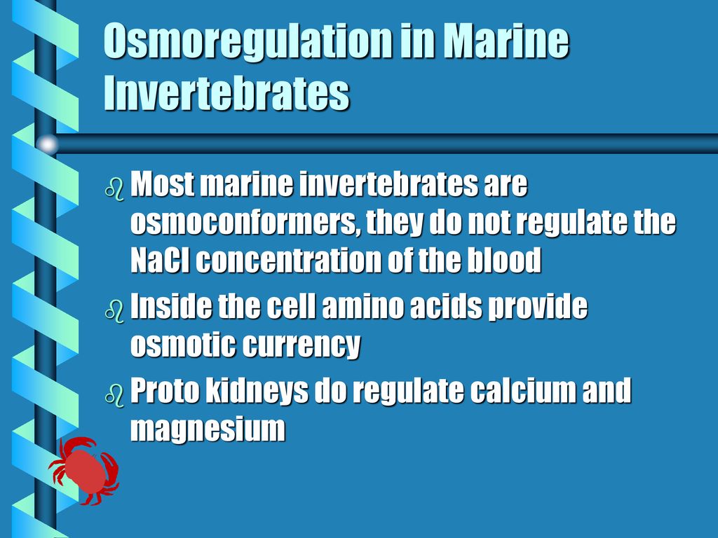 Water and Ions Membranes surround cells Epithelia surround tissues