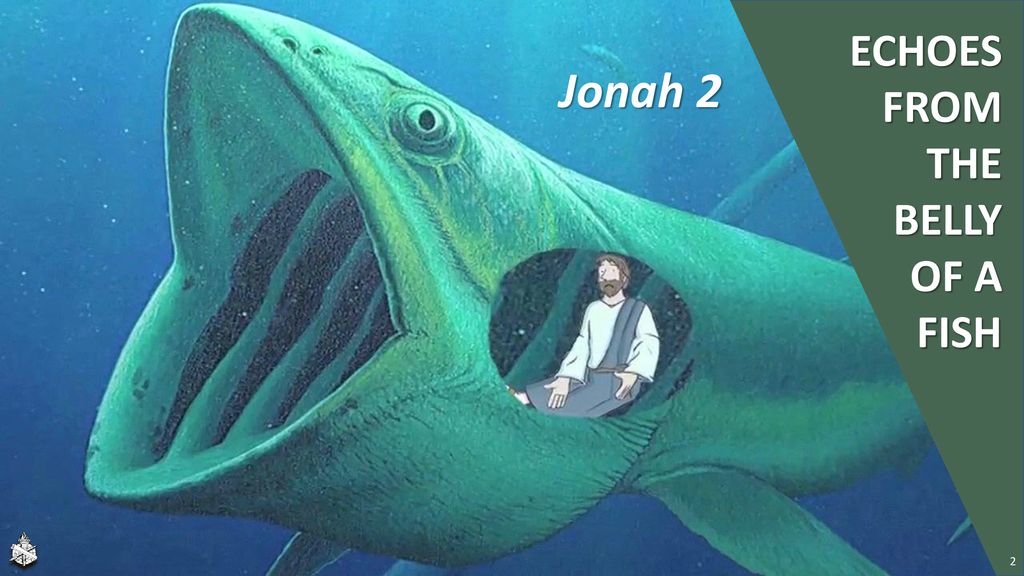 Jonah’s Conversion -Tried to run, Jonah 1 -God prepared fish, 1:17 ...