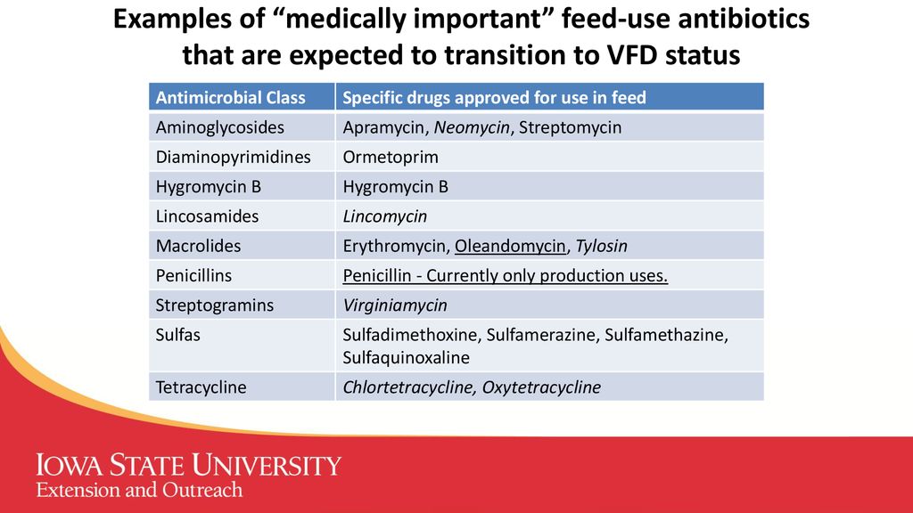 Chris rademacher dvm isu swine extension veterinarian ppt download