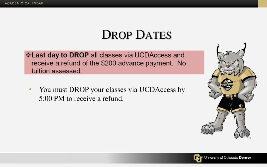 The Cu Denver Academic Calendar - Ppt Download