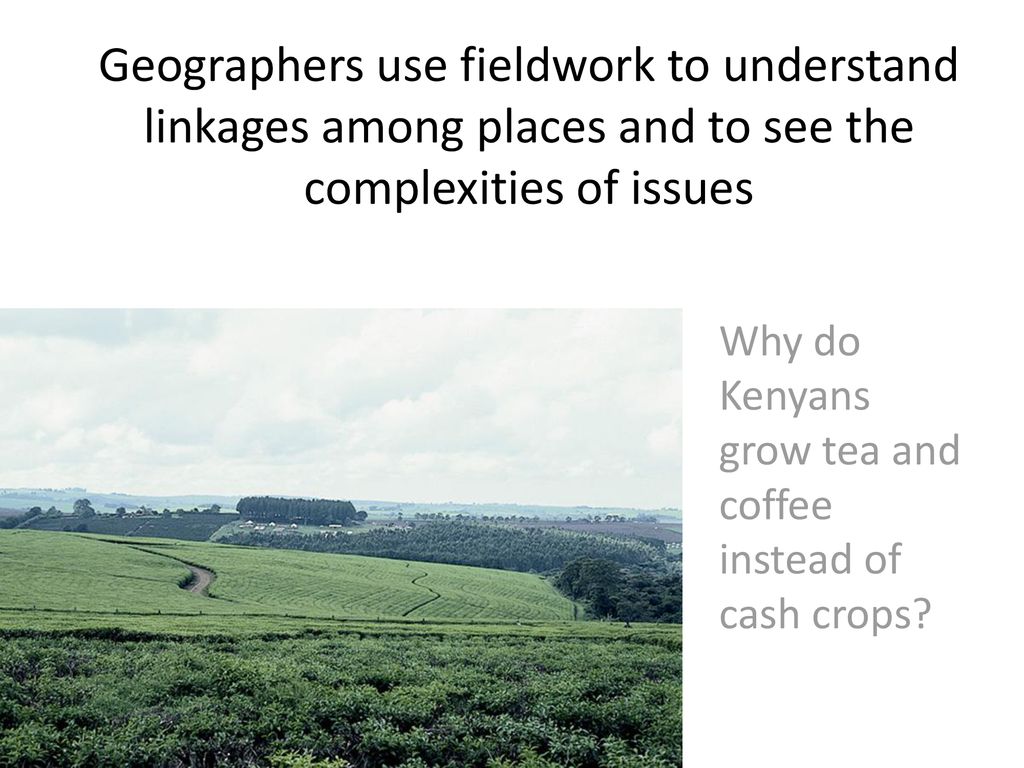 Why do Kenyans grow tea and coffee instead of cash crops