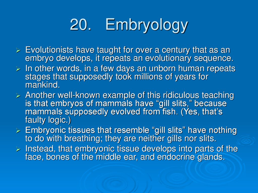 Scientific Creation. ppt download