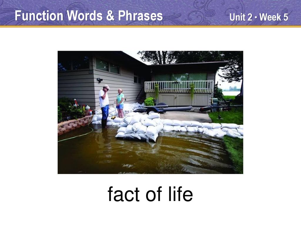fact of life Function Words & Phrases Unit 2 ● Week 5 TEACHER TALK