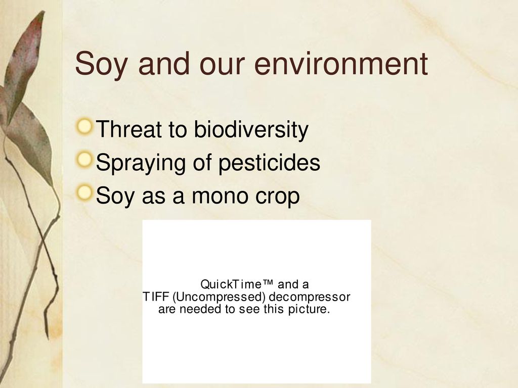 Soy and our environment