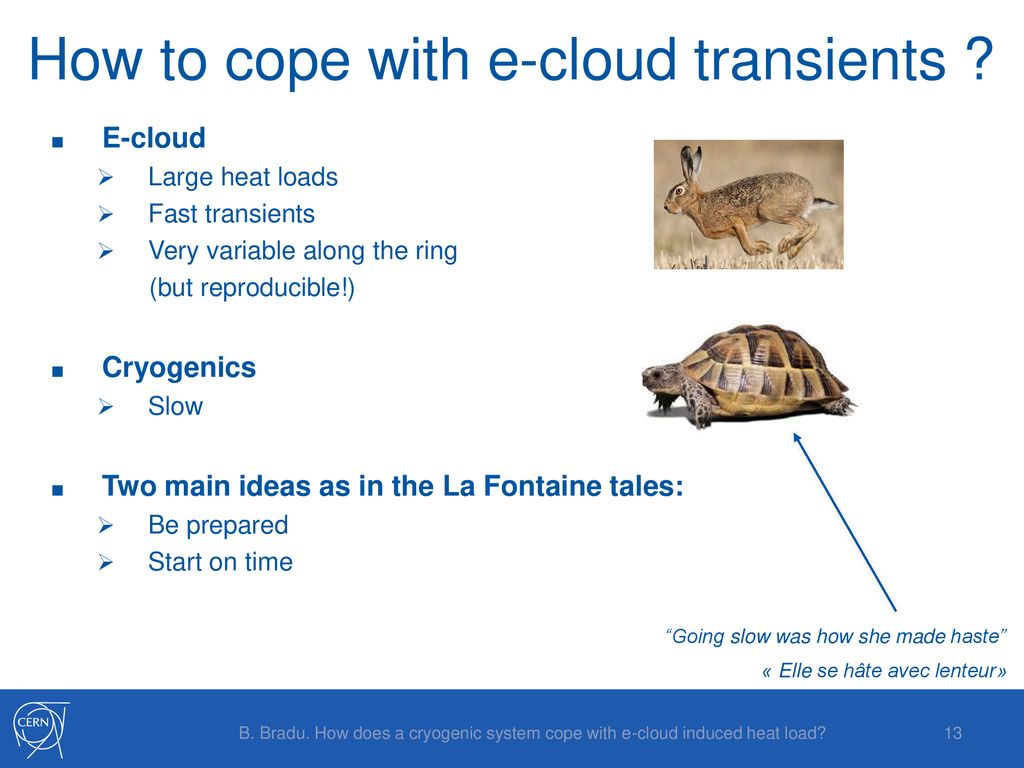 How to cope with e-cloud transients