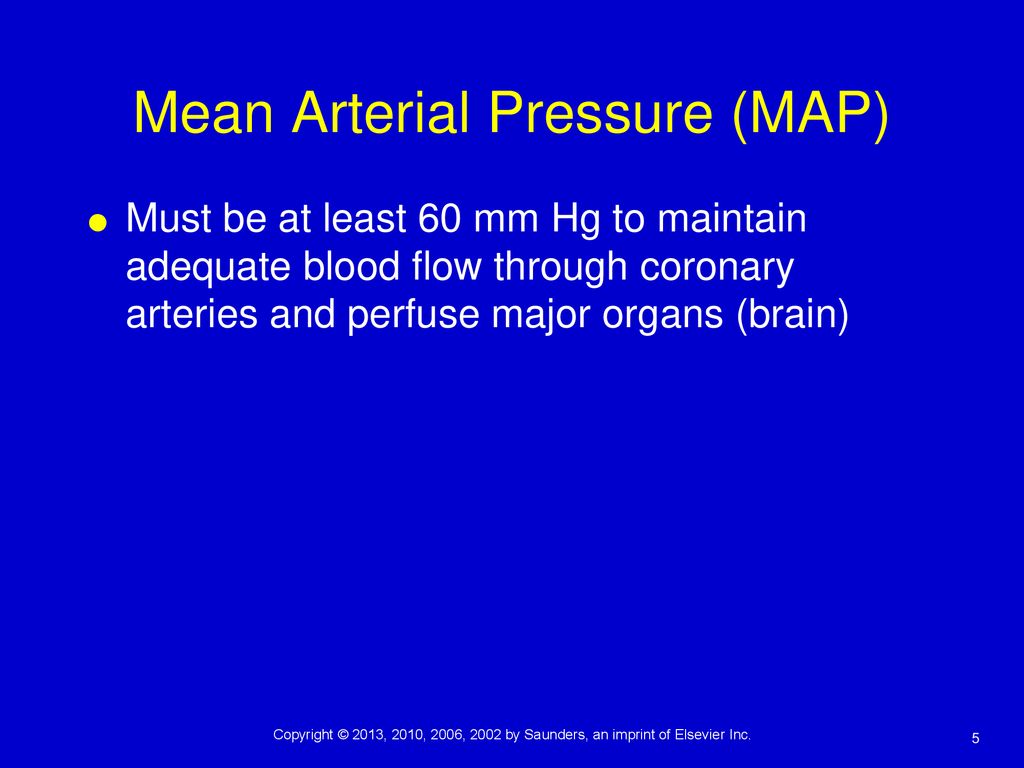 Assessment of the Cardiovascular System ppt download