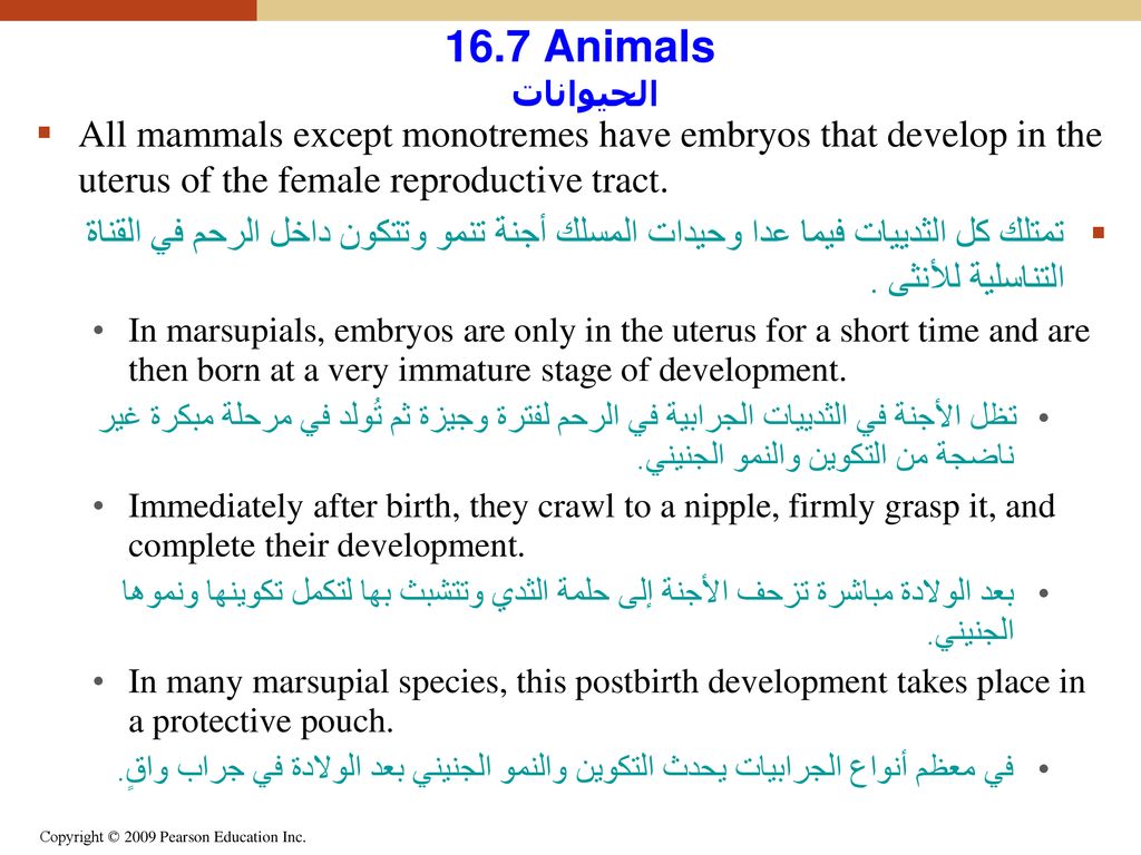 Chapter 16 تنوع الحياة الحياة على الأرض The Diversity Of Life Ppt Download