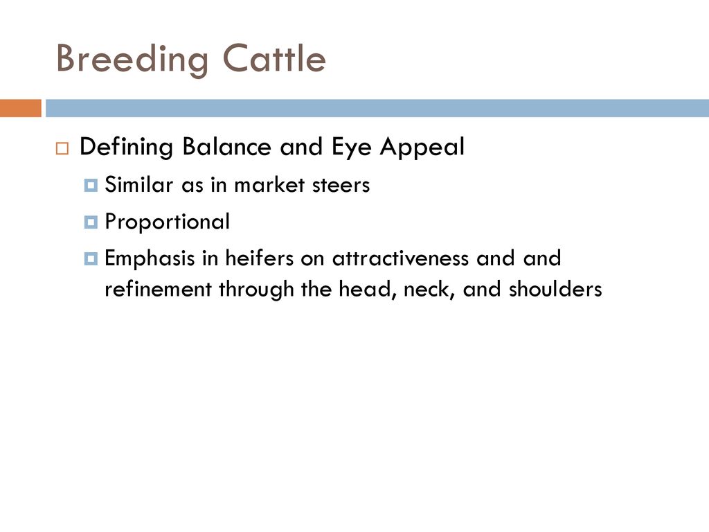 Selection and Evaluation of Breeding Cattle - ppt download