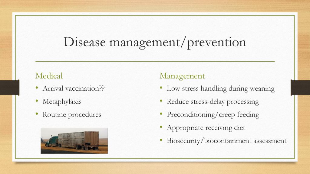 Disease Risks And Disease Management During Weaning - Ppt Download