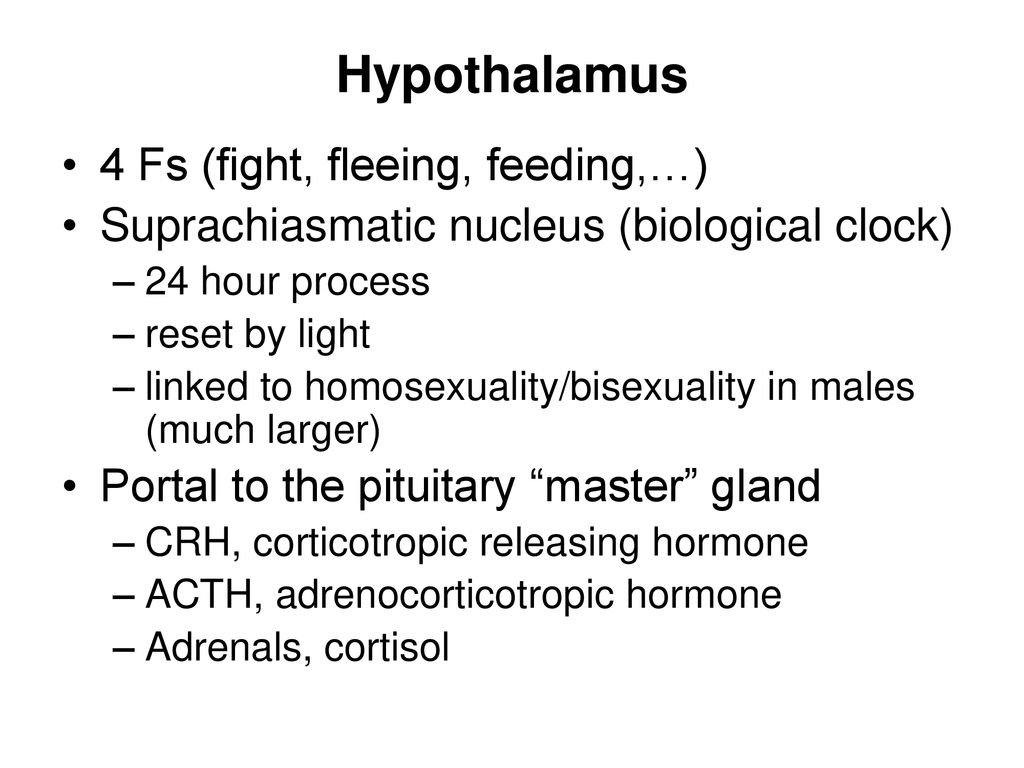 Hypothalamus 4 Fs (fight, fleeing, feeding,…)
