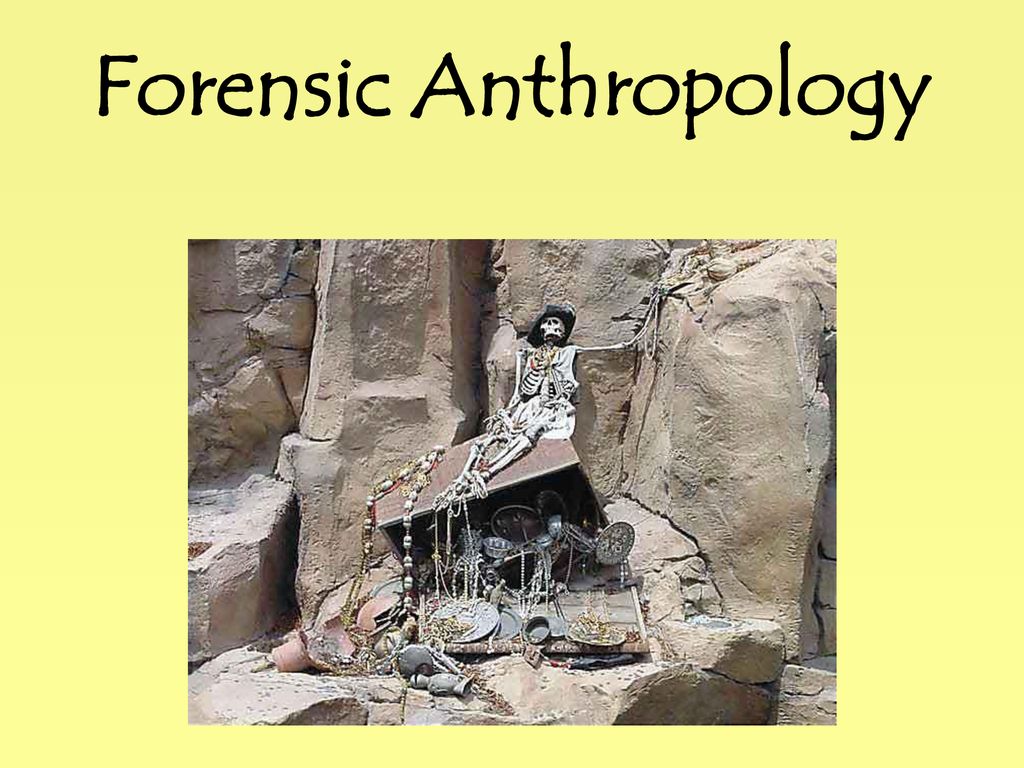 forensic anthropology thesis topics