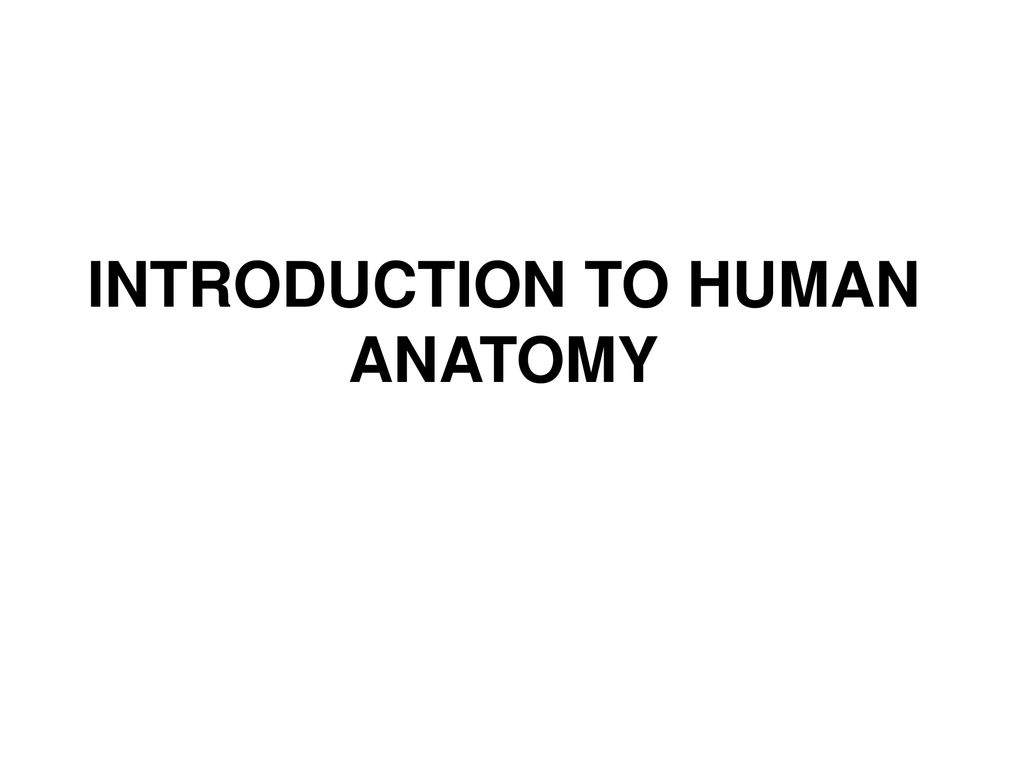 Introduction To Human Anatomy Ppt Download