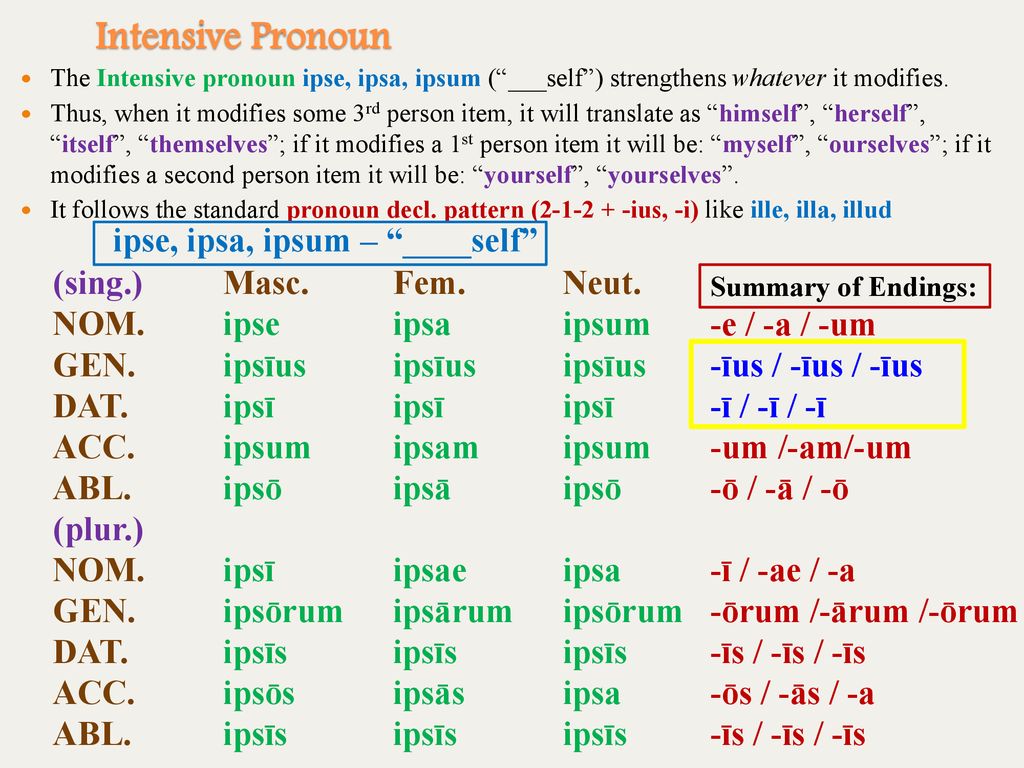 Pronouns And Unus Nauta Adjectives Ppt Download