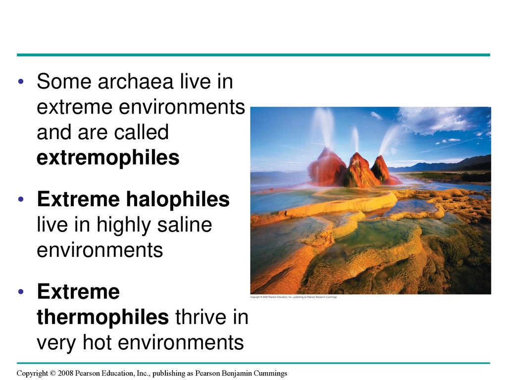 Overview: Masters of Adaptation - ppt download