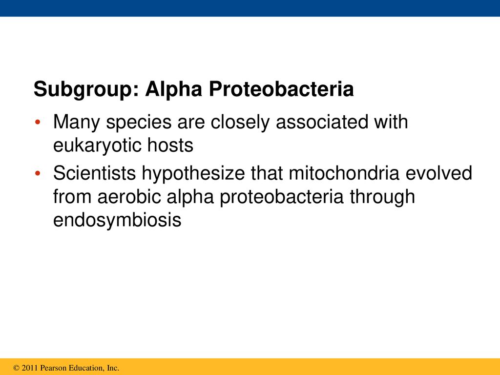 Chapter 27 Bacteria and Archaea. - ppt download