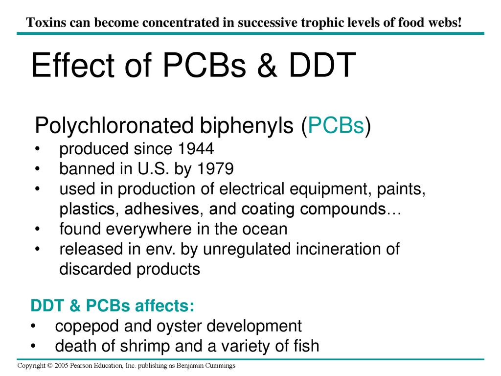 Chapter 55 Ecosystems. Ppt Download 