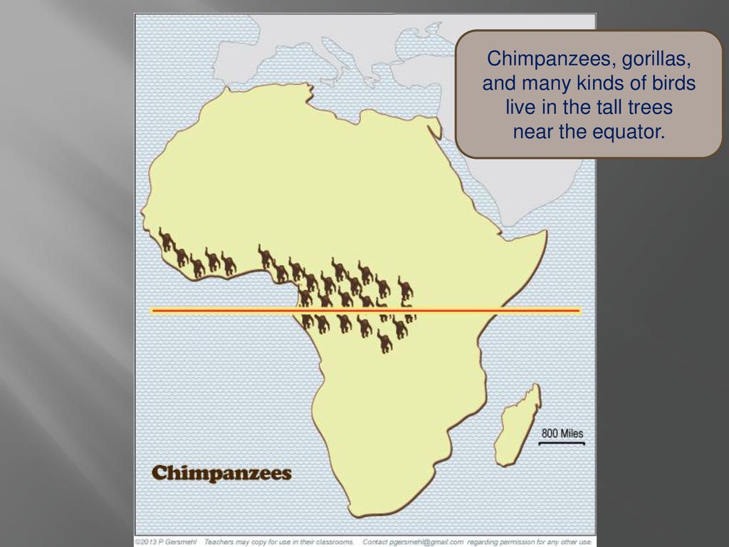 LATITUDE A geographic “big idea” with many consequences in AfricA - ppt