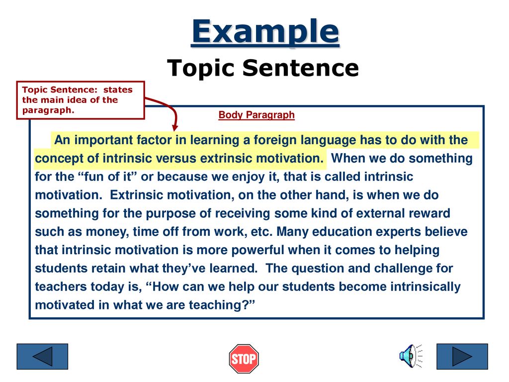 Writing Paragraphs of Importance - ppt download