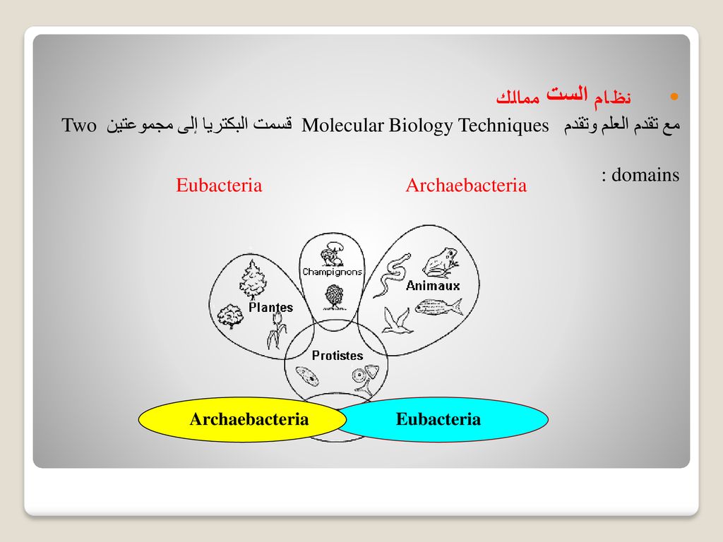 Microbiology مقدمة عامةintroduction Ppt Download