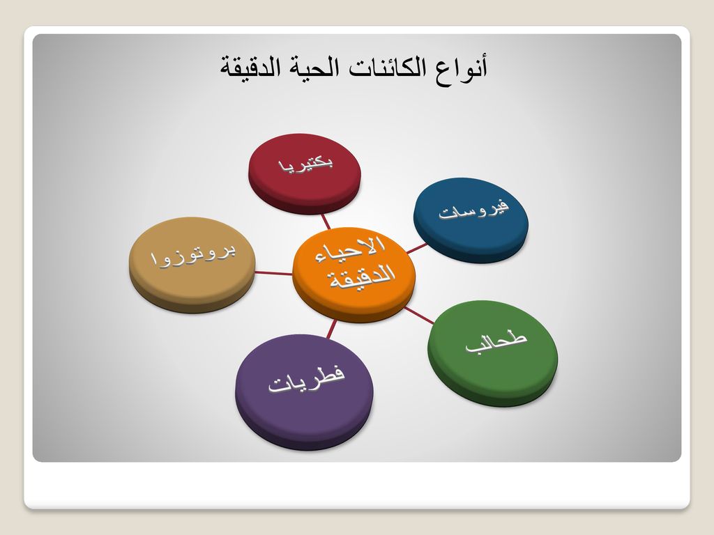 Microbiology مقدمة عامةintroduction Ppt Download