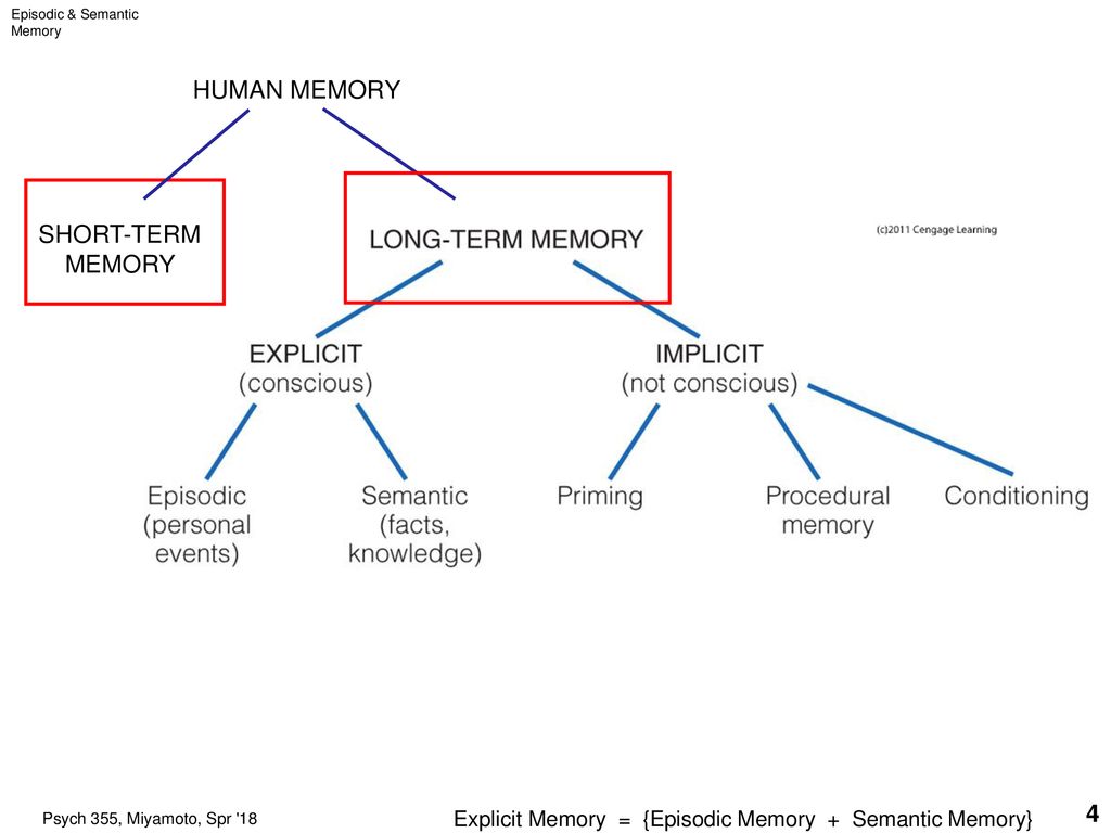 Introduction to long term memory continued ppt download