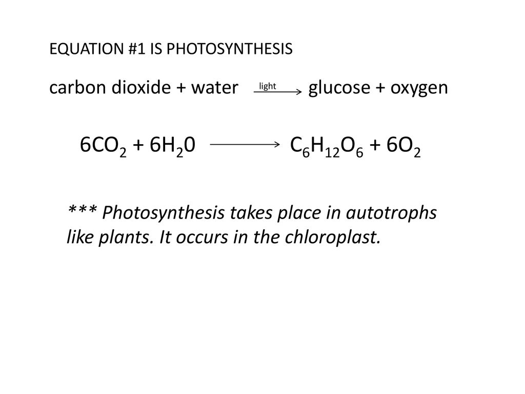 carbon dioxide + water glucose + oxygen - ppt download