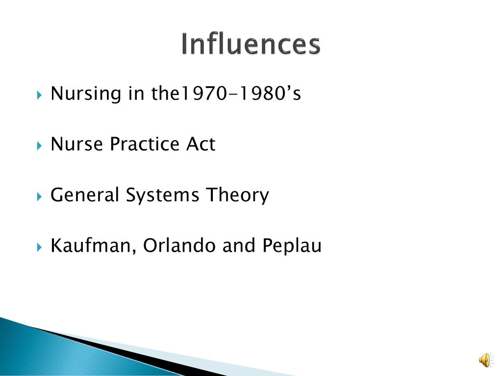 systems theory in nursing practice