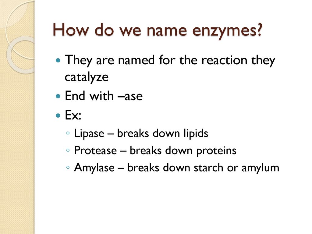 Enzymes. ppt download