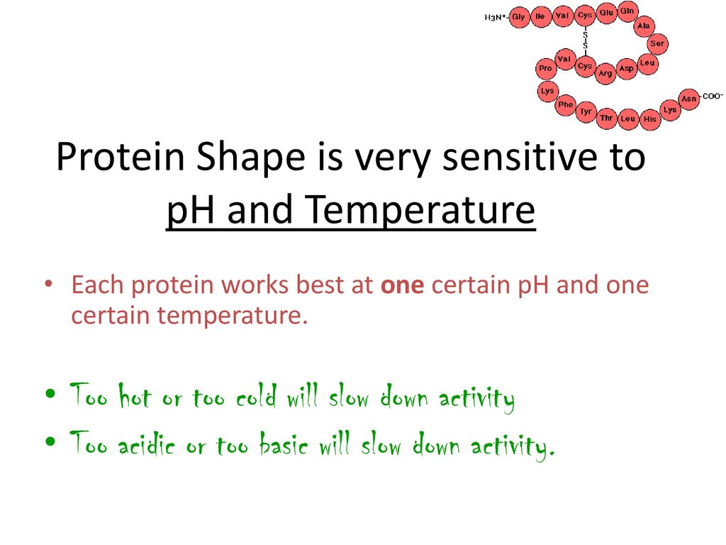 Protein Shape is very sensitive to pH and Temperature