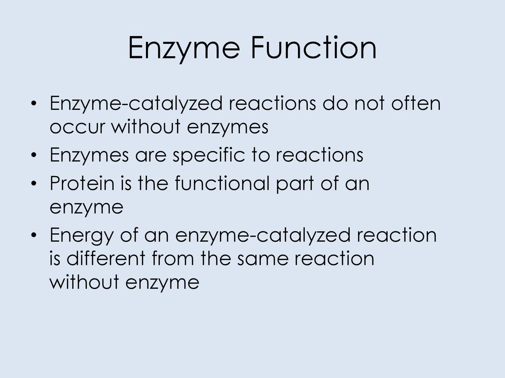 Enzymes key to metabolism ppt download