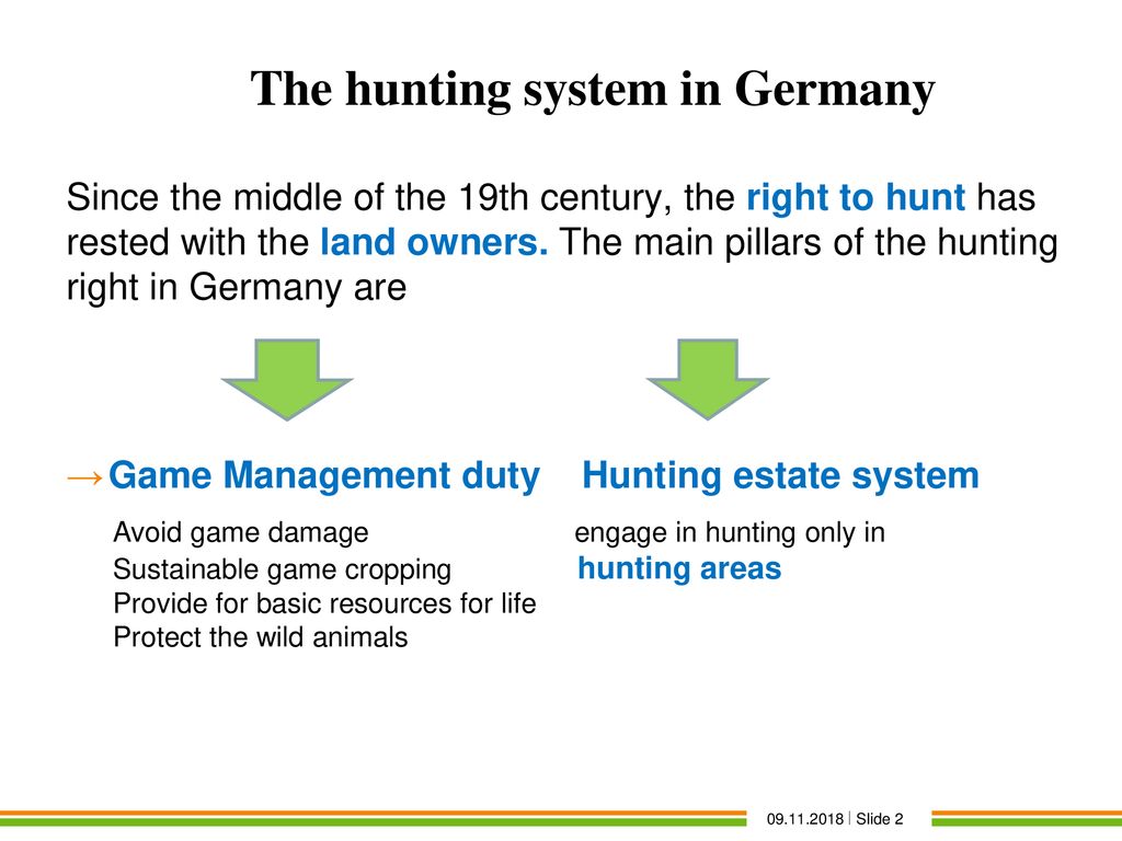 The hunting system in Germany