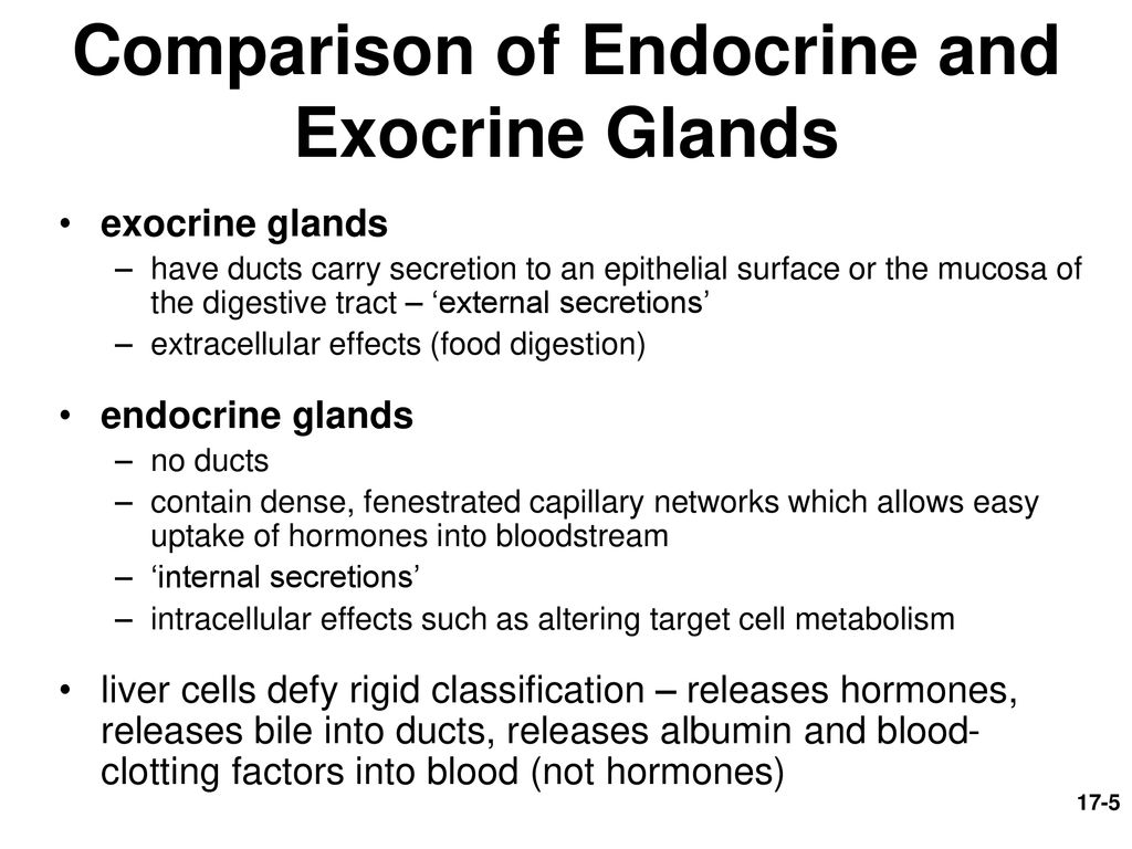 Endocrine System Overview Hypothalamus And Pituitary Gland Ppt Download Endocrine System Overview Hypothalamus And Pituitary Gland Ppt Download