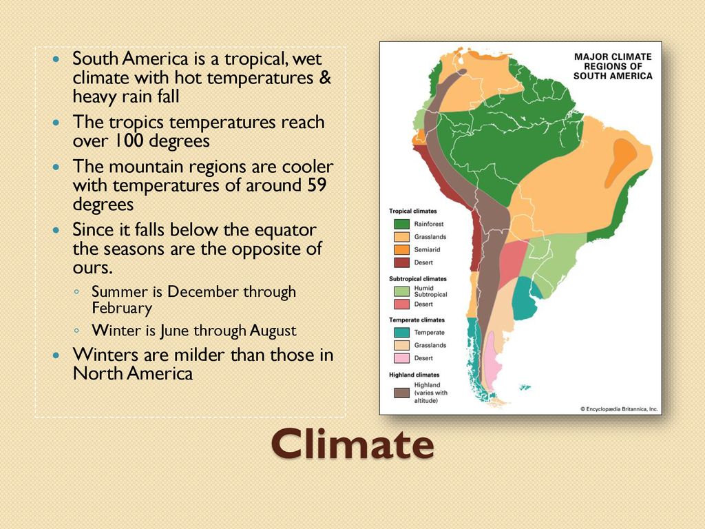 Environment And Environmental Factors Ppt Download