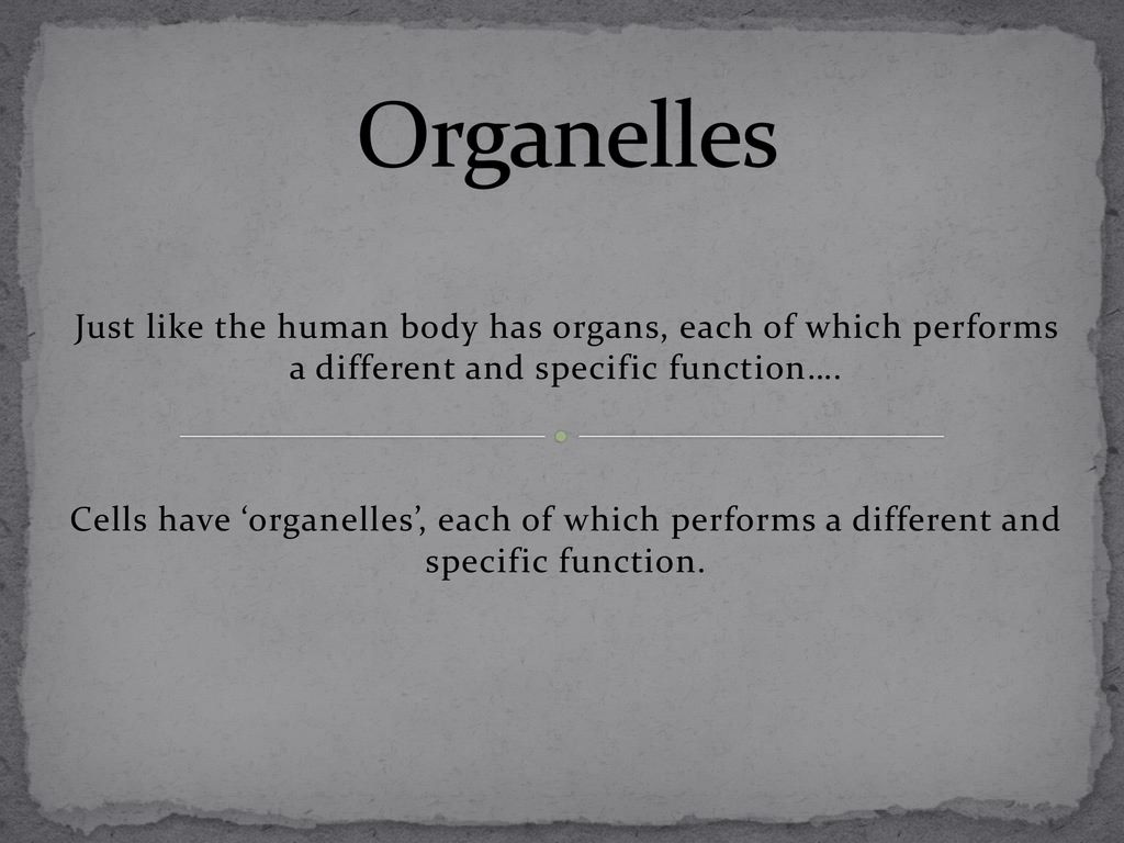 Organelles Just like the human body has organs, each of which performs a different and specific function….