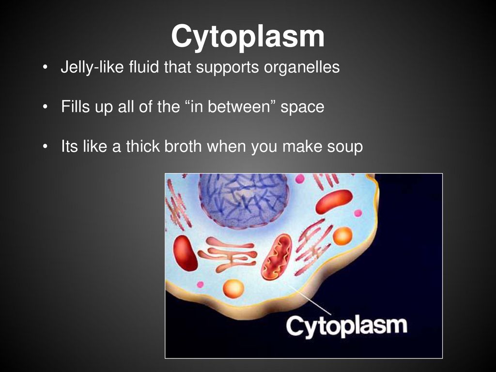 I have cytoplasm in my cells It's a jelly like fluid in my cell I likes the j Meme Maker!
