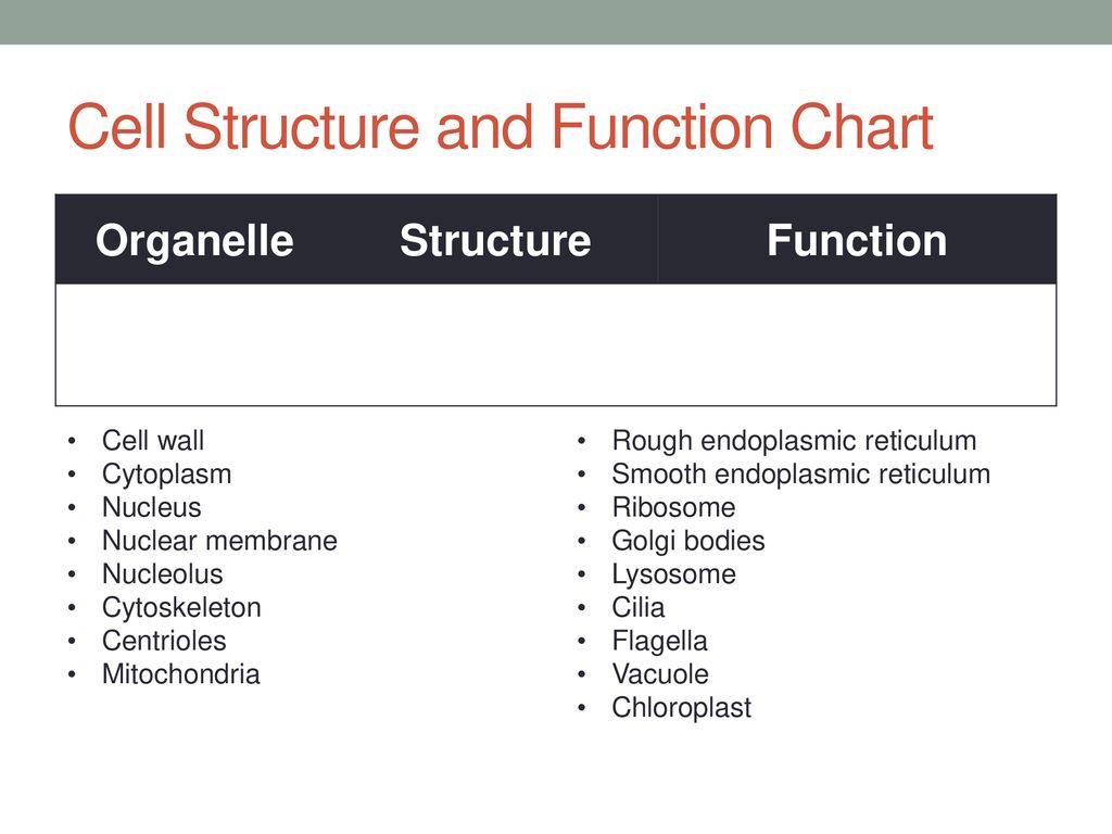 Cell Function Chart