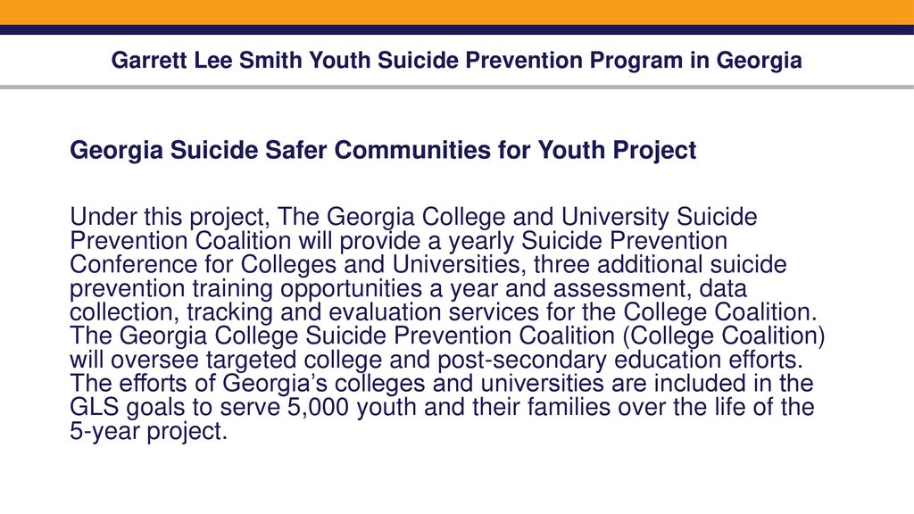 Garrett Lee Smith Youth Suicide Prevention Program in Georgia