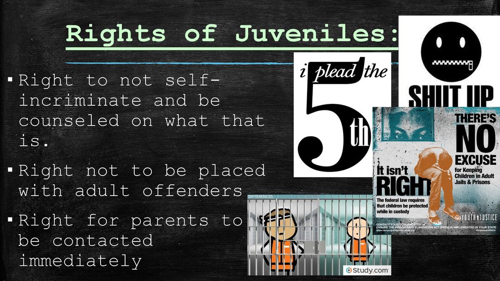 Intro to Judicial branch ppt download