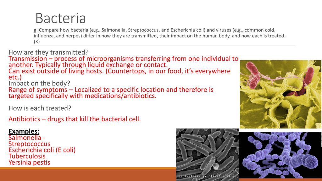 Human Body & Disease Disease and Pathology HS20-HB2 Investigate the ...