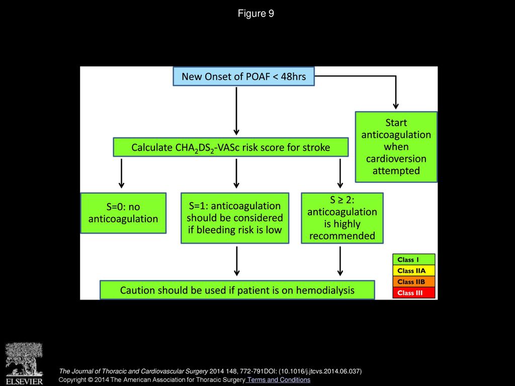 Figure 9 Considerations for the management of anticoagulation within the first 48 hours of postoperative atrial fibrillation (POAF).