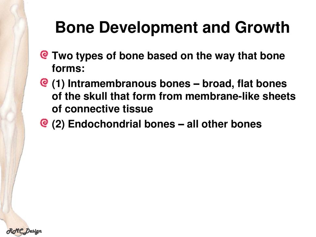 Skeletal System Bones and Joints. Biology Diagrams