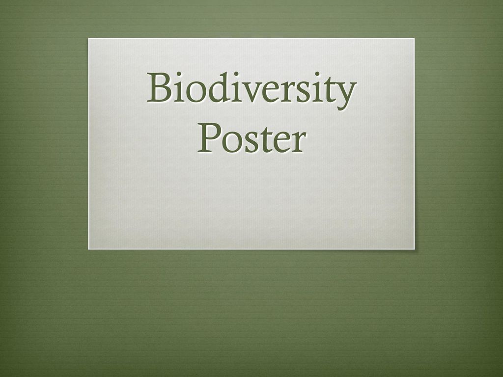 Biodiversity Poster