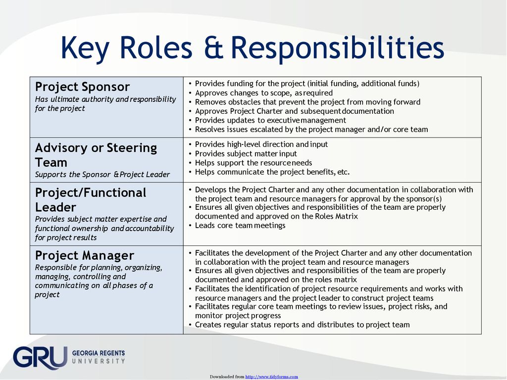 Roles And Responsibilities Organizational Chart