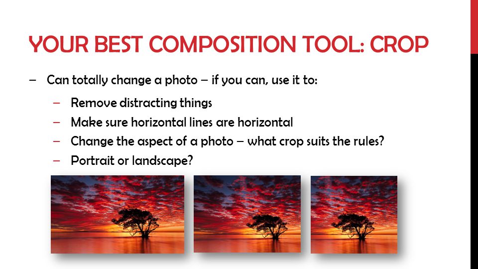 Your best composition tool: crop